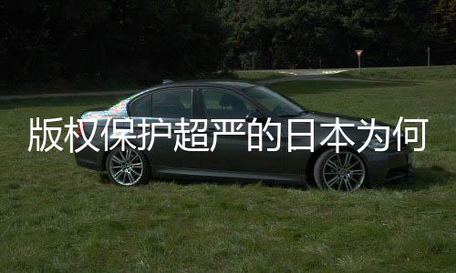 二创的日地带行何同化盛灰色版权保护本为超严人文业界揭秘